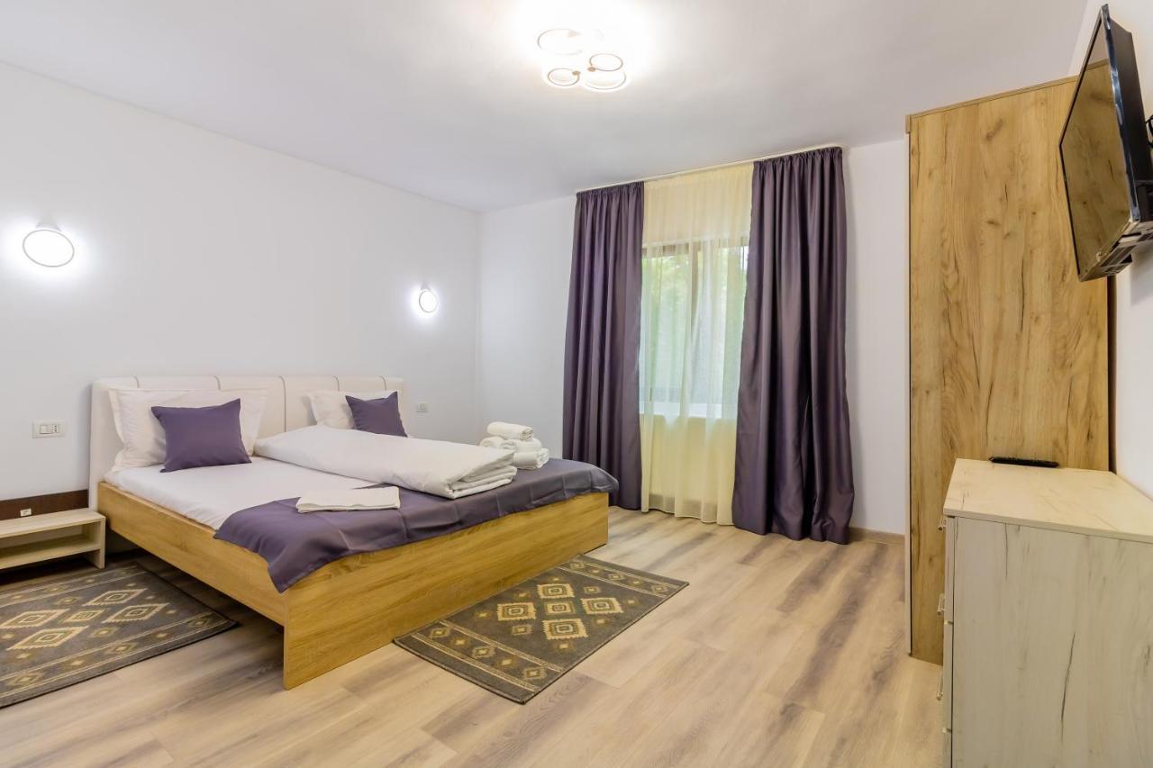 Pensiunea D & Ylan Otel Novaci-Străini Dış mekan fotoğraf