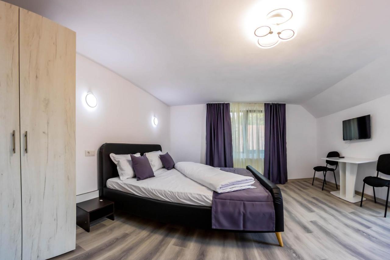 Pensiunea D & Ylan Otel Novaci-Străini Dış mekan fotoğraf